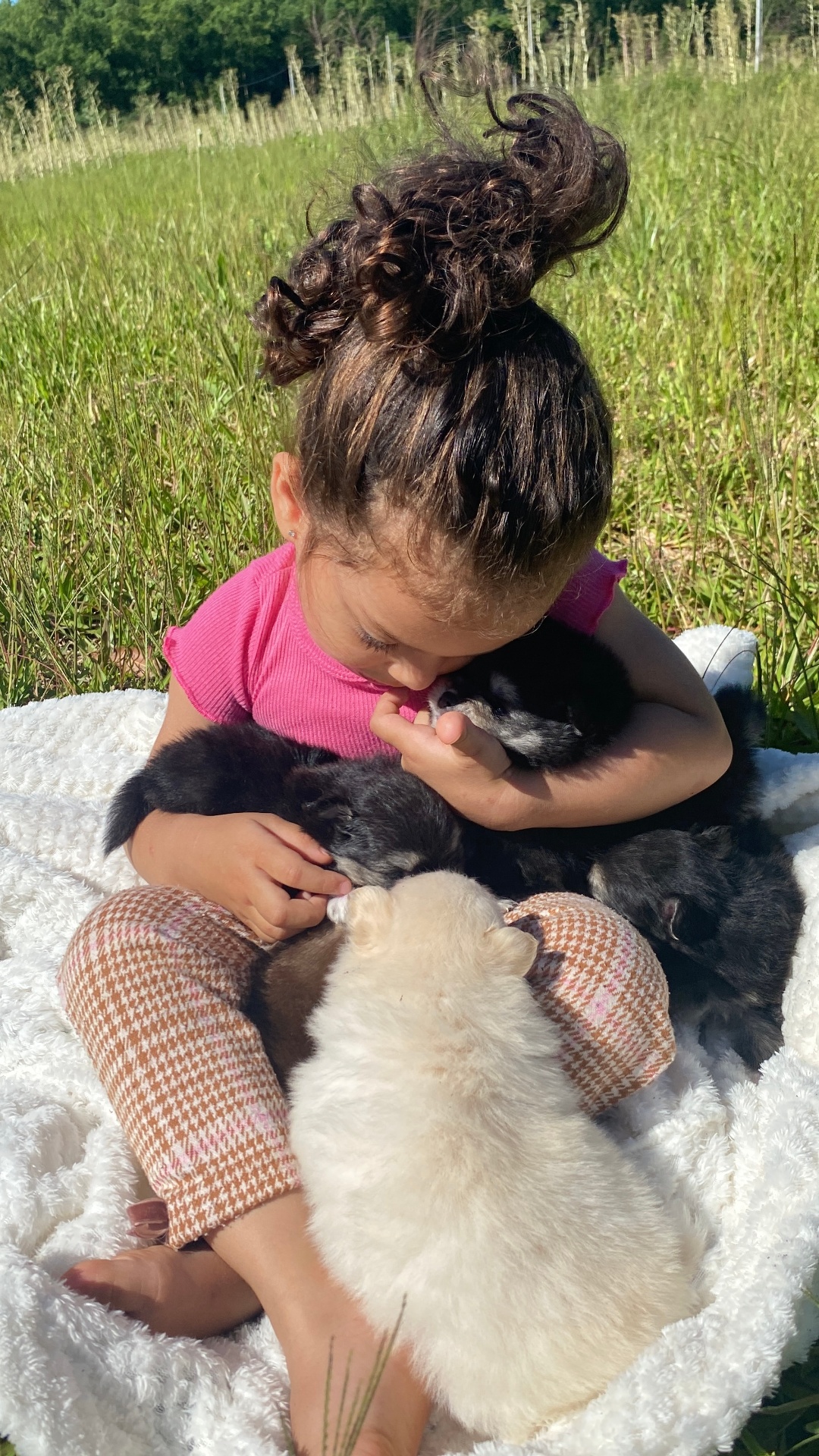Criança com filhotes de Spitz Alemão